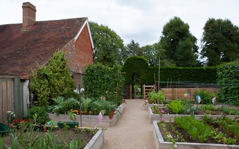 kitchen garden - Credit: Rii Schroer