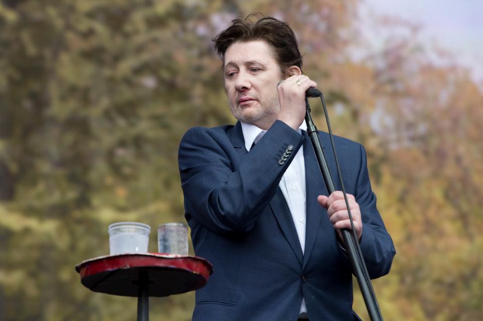 MacGowan at 2014’s Barclaycard British Summer Time Festival in Hyde Park, London (PA)