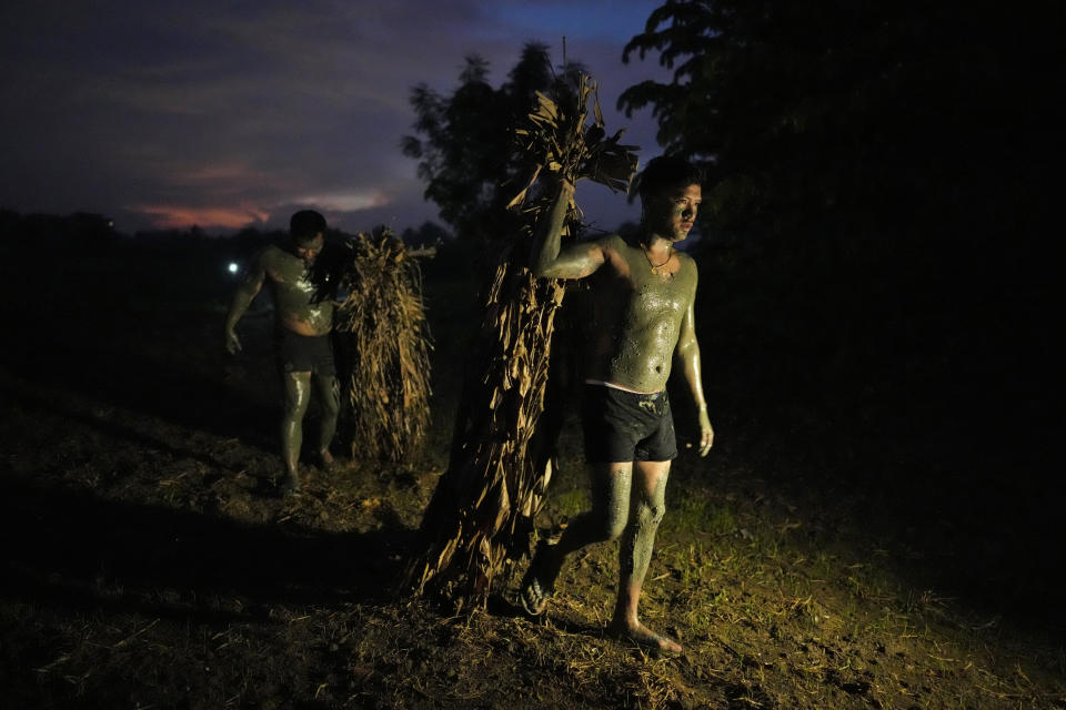 Devout Catholics hold dried banana leaves which they will use to cover themselves in, and walk towards the church of Saint John the Baptist during the mud festival at Bibiclat, Nueva Ecija province, northern Philippines, Monday, June 24, 2024. (AP Photo/Aaron Favila)