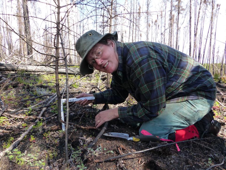 Dr. Jill Johnstone, associate professor in the Department of Biology at the University of Saskatchewan, is leading a team studying how fire is changing the landscape of the boreal forests in northern Saskatchewan.