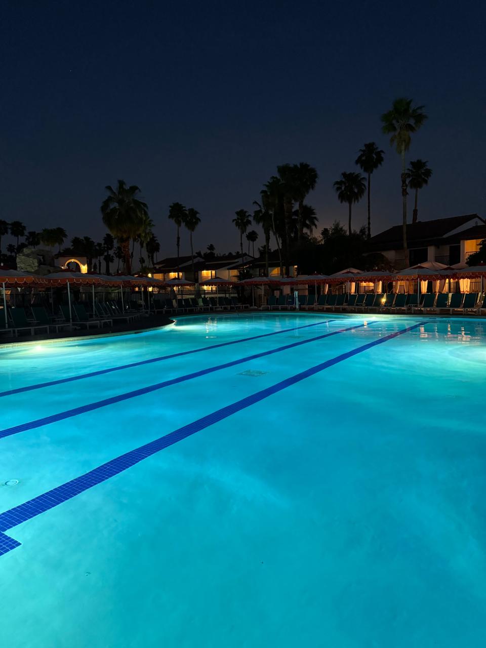 Swimming pool with lanes at dusk, surrounded by palm trees and buildings