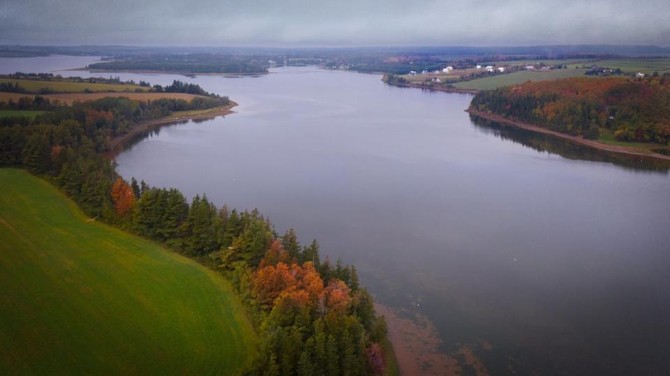 New London, P.E.I., October 2021, drone shot over Southwest River, fall colours.