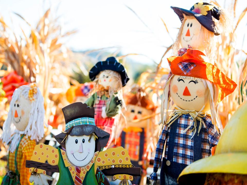 Scarecrows on display in front of Ripley's Aquarium of the Smokies in Gatlinburg, Tennessee, on Oct. 14, 2019. Gatlinburg is attempting to break a Guinness World Record for the largest display of scarecrows in one location.