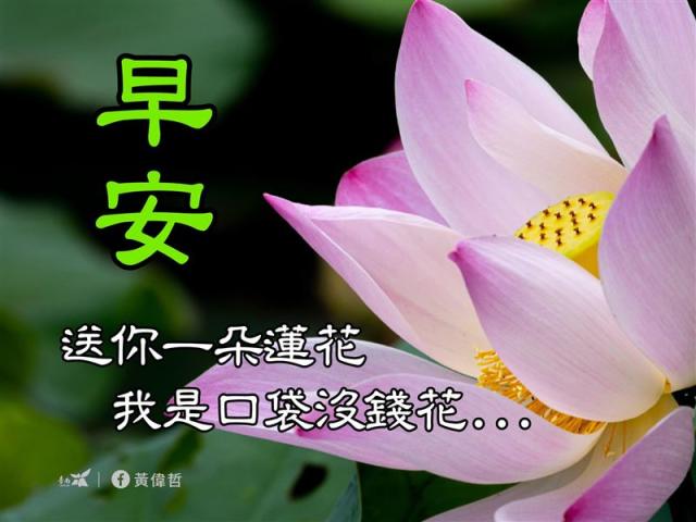 不要覺得煩！「老人愛發長輩圖」背後真相曝網看哭：有天就不會再收到