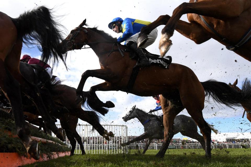 Grand National  (Getty Images)