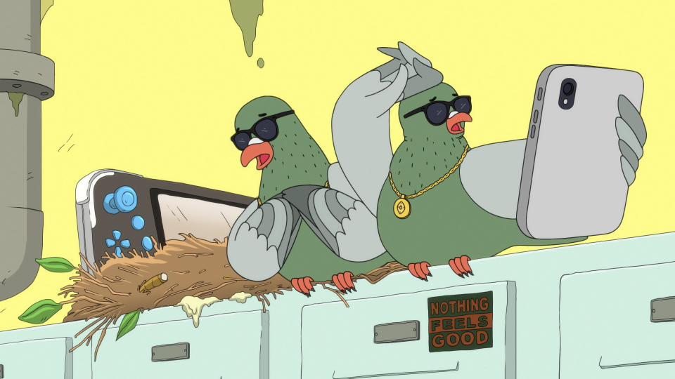 Animated birds taking selfies atop office cabinets