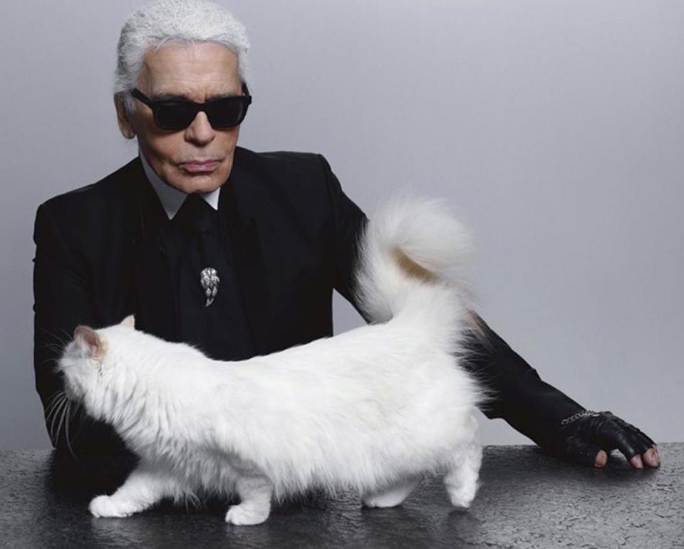 Karl Lagerfeld with his beloved cat Choupette (Choupette Lagerfeld/Facebook)
