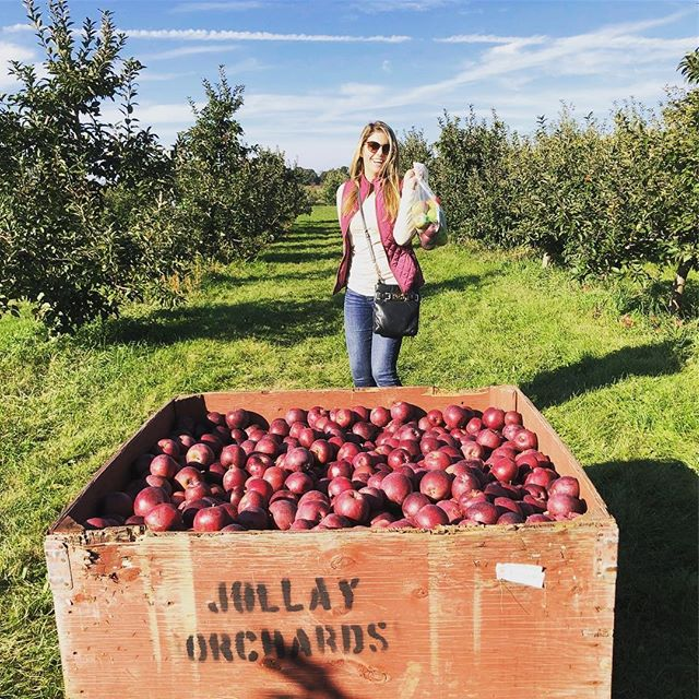7) Jollay Orchards in Coloma, Michigan