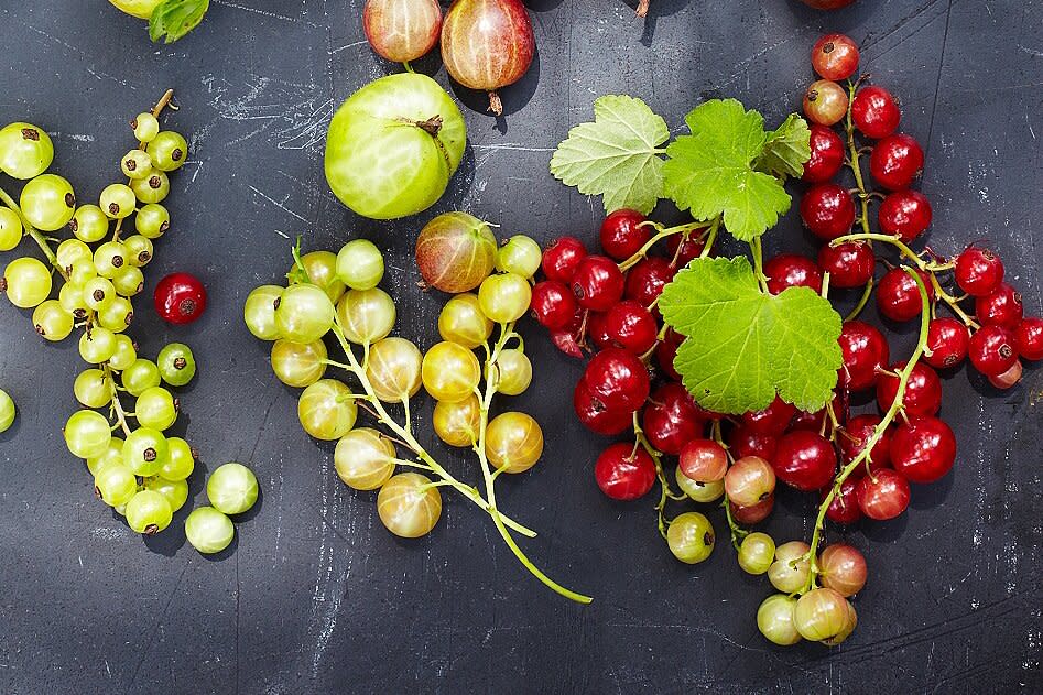 variety of currants on slate surface