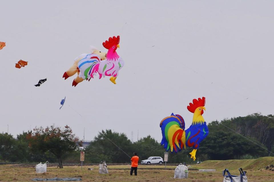 圖為飛天雞軟體風箏，28日苗栗河濱公園與民同樂。（圖：市公所提供）