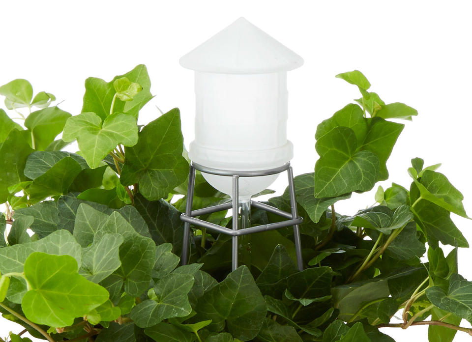 <body><p>Put your houseplants on autopilot with a personal-sized replica of a New York water tower. Hoisted up on a powder-coated steel frame, <a rel="nofollow noopener" href=" http://click.linksynergy.com/fs-bin/click?id=P71lsVf3GNs&subid=&offerid=54404.1&type=10&tmpid=319&RD_PARM1=http%253A%252F%252Fwww.uncommongoods.com%252Fproduct%252Fwatering-tower" target="_blank" data-ylk="slk:the glass water tower;elm:context_link;itc:0;sec:content-canvas" class="link ">the glass water tower</a> holds 4 ounces at a time and releases it slowly, drip by drip, down a 5-inch stem that cuts through the leaves and into the soil to directly quench your plant's thirst. That leaves your only responsibility as refilling the well when the water supply runs low. <em>Available on <a rel="nofollow noopener" href=" http://click.linksynergy.com/fs-bin/click?id=P71lsVf3GNs&subid=&offerid=54404.1&type=10&tmpid=319&RD_PARM1=http%253A%252F%252Fwww.uncommongoods.com%252Fproduct%252Fwatering-tower" target="_blank" data-ylk="slk:Uncommon Goods;elm:context_link;itc:0;sec:content-canvas" class="link ">Uncommon Goods</a>; $22.</em> </p></body>