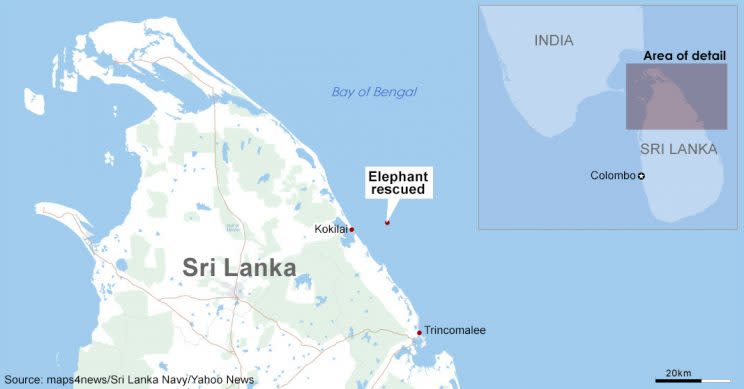 A group of naval personnel attached to the Eastern Naval Command saved an elephant caught in a current in the seas about 8 Nm off Kokkuthuduwai, Kokilai. (Source: maps4news/Sri Lanka Navy/Yahoo News)