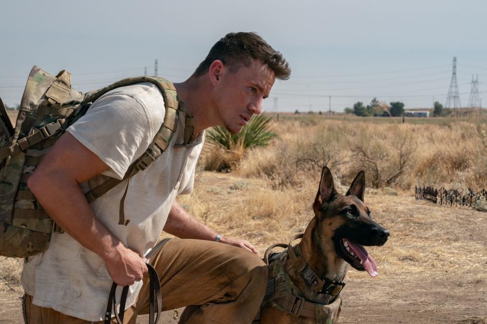 An Army Ranger (Channing Tatum) goes on an epic road trip with a fellow soldier, Lulu the Belgian Malinois, in "Dog."