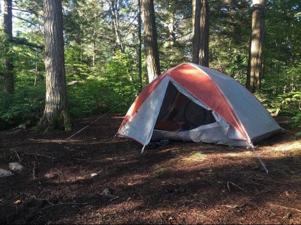 People can carry out their 14-day isolation period in Yukon's wilderness, under a new kind of alternative isolation plan approved by public health. (Liny Lamberink/CBC - image credit)