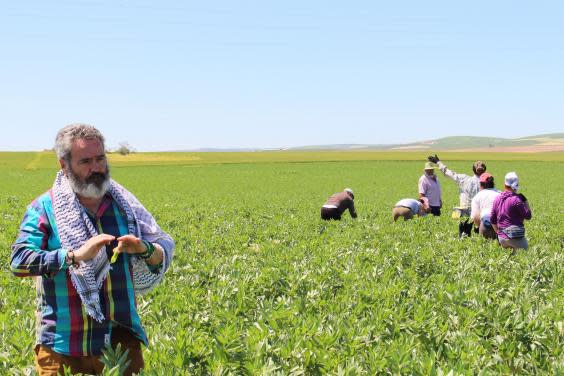 Sánchez Gordillo visits workers in a bean field (Elisa Menendez)