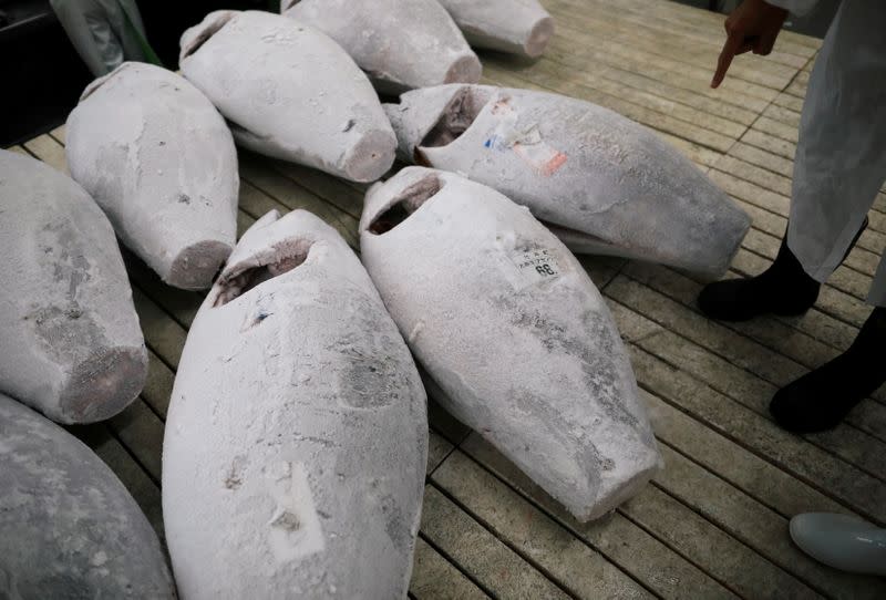 Frozen tuna are seen inside a processing room at Misaki Megumi Suisan Co. in Miura