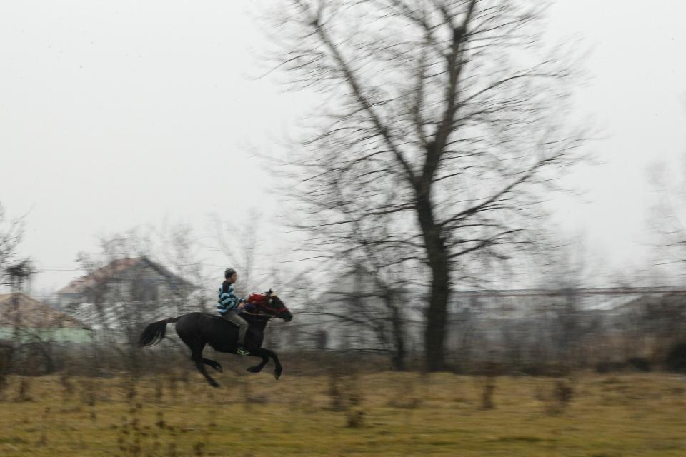 A man on his horse competes in the annual horse race organized by Orthodox believers on Epiphany Day in the Romanian village of Pietrosani, 45 km (28 miles) north of Bucharest, January 6, 2014. Epiphany Day falls on January 6 every year and it celebrates the end of Christmas festivities in Romania. REUTERS/Bogdan Cristel (ROMANIA - Tags: ANIMALS SOCIETY RELIGION)