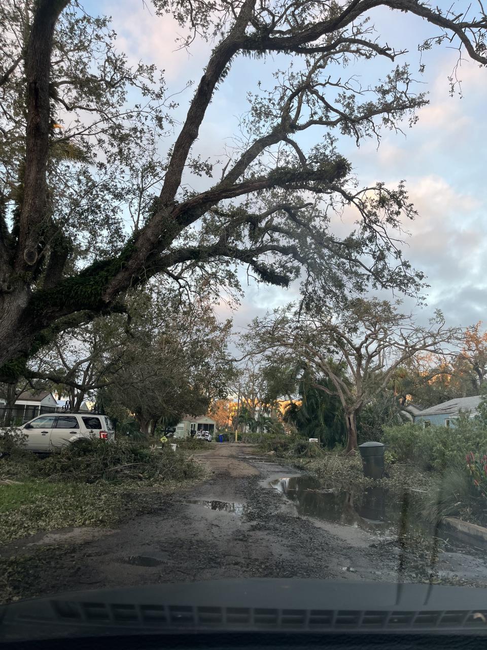 Fallen trees and debris in Fort Myers.