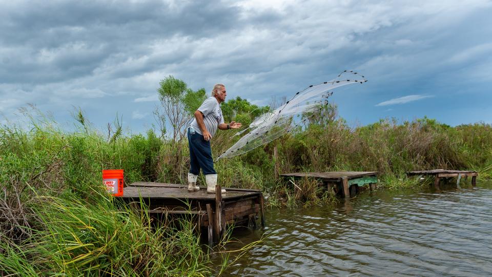 Isle de Jean Charles resident Edison Dardar casts his net for shrimp. A retired fisherman, seafood is still integral to life on the island and hearkens back to how residents sustained themselves before a road connected them to the mainland.