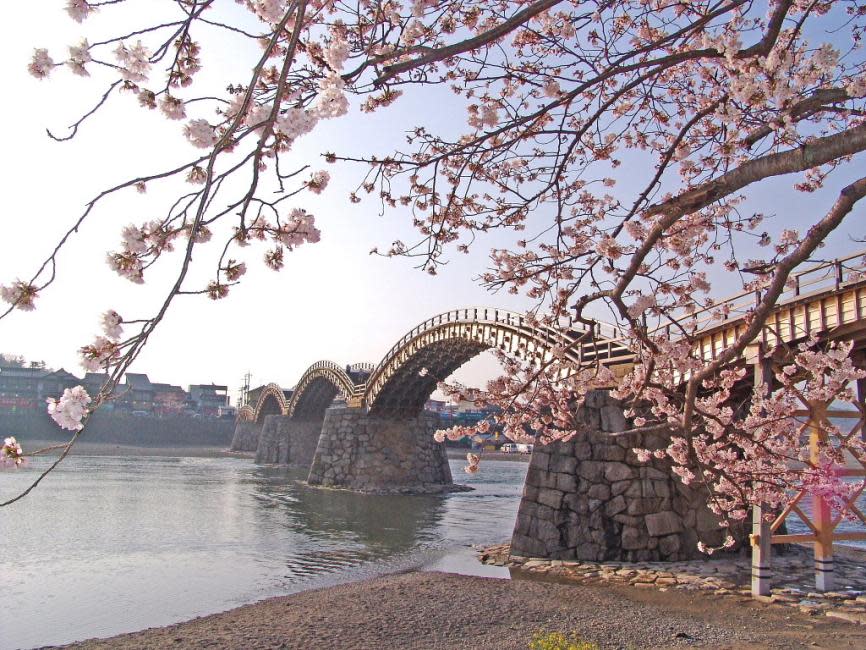 Kintaikyo Bridge and Hiroshima city Cherry Blossom 1 Day Tour from Hiroshima. (Photo: KKday SG)