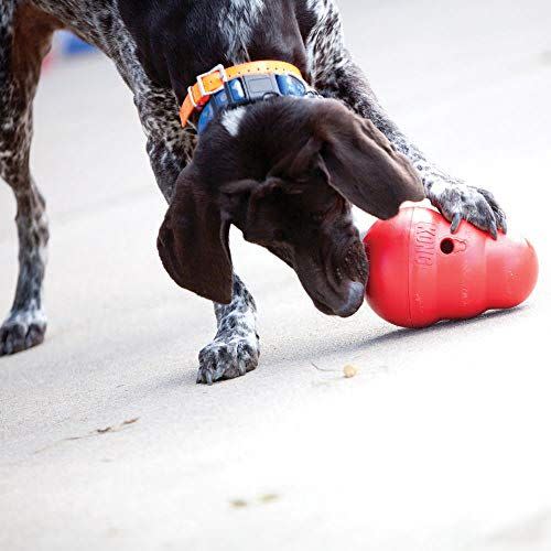iFetch to Unveil First-Ever Interactive Digging Toy for Dogs at