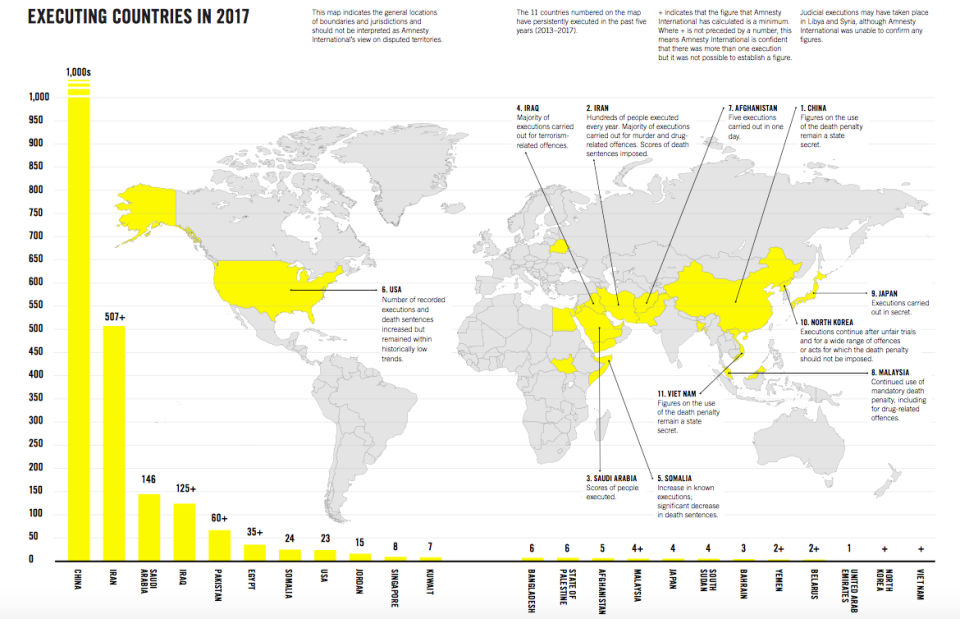 Amnesty International says there were at least 993 executions in 23 countries in 2017 (Picture: Amnesty International)