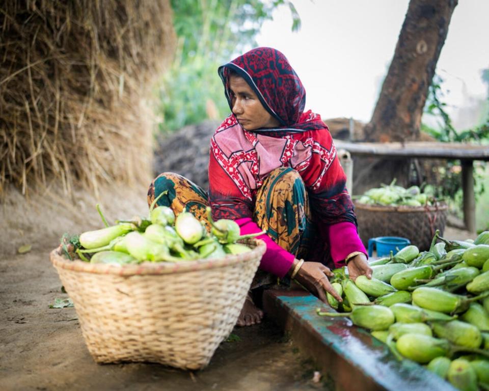 Hason cleaning the fresh crop (WFP/Sayed Asif Mahmud)