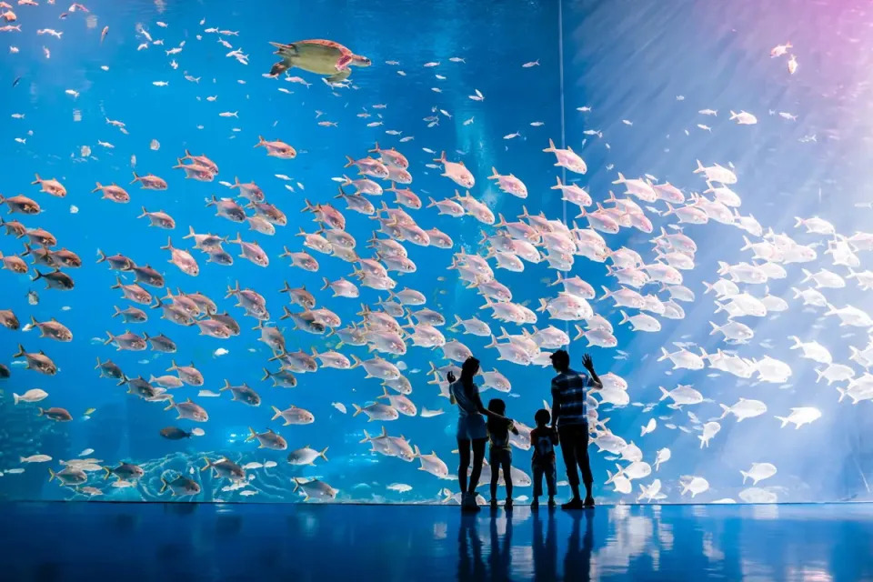 北上好去處｜深圳/廣州/珠海景點門票優惠低至半價 野生動物園$99/熱雪奇蹟滑雪場$232起