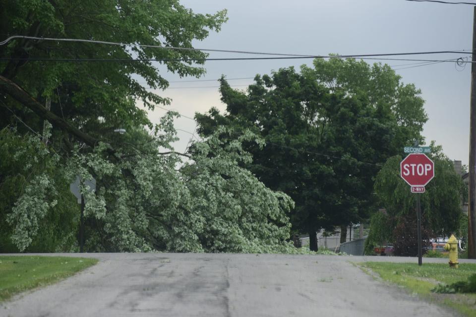 A tree limb blocks Walnut Street near its intersection with Second Avenue in Galion early Tuesday morning.