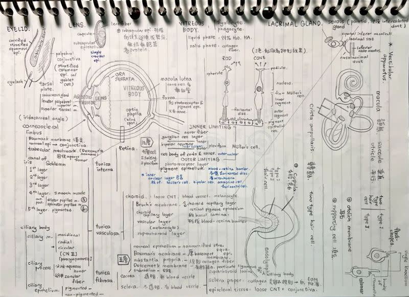 台大醫師國考筆記畫功超精細，筆記密密麻麻卻整齊。（圖／翻攝Dcard）