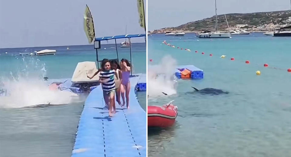 Children run down a floating pier as a huge tuna causes water to spray everywhere