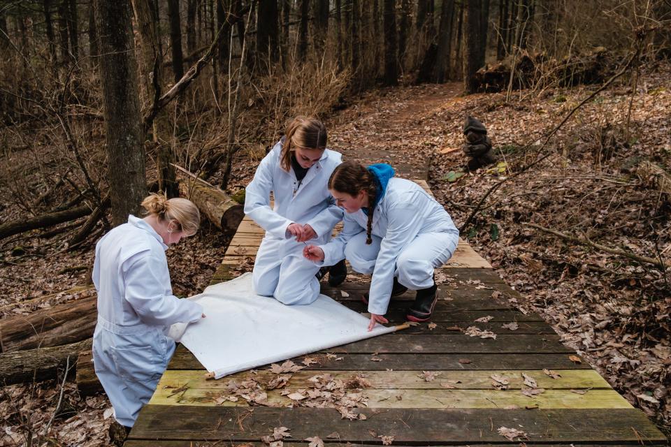 New Philadelphia HIgh School students Addy Kendle, left, Cambri Mushrush, middle, and Ally Kendle, collect Deer Ticks, Wednesday, Feb. 8 at the Norma Johnson Center in Dover Township.