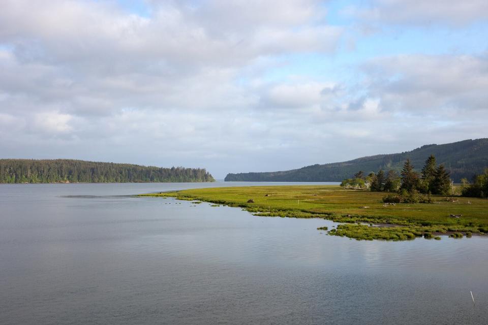 Naselle River and Willapa Bay, a tidally influenced estuary, Washington