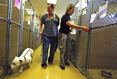 Sandra Lammert (L), an evacuee, brings her dog "Chopper" into the Blount County Animal Shelter as kennel operations manager Karen League opens a cage after a train derailment near Maryville, Tennessee July 2, 2015. REUTERS/Wade Payne