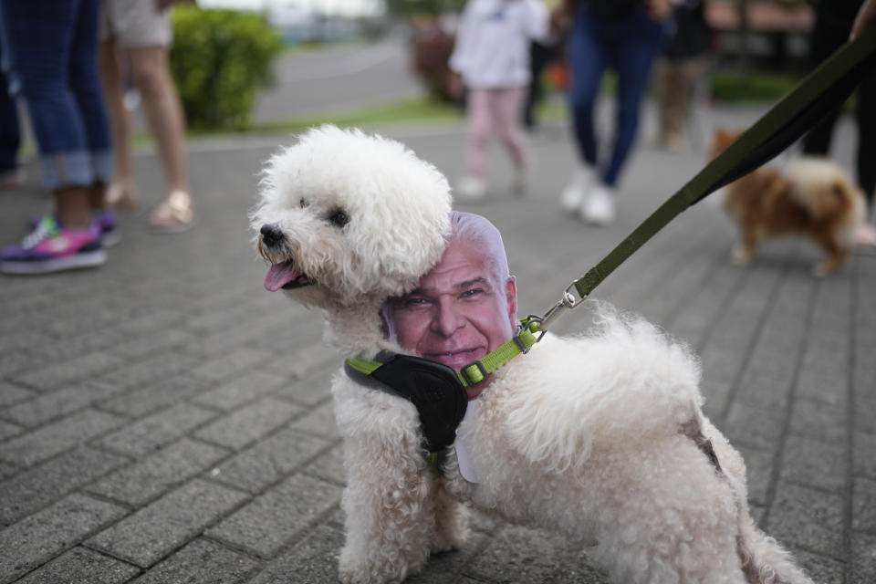 A dog dons a face cutout of Achieving Goals presidential candidate Jose Raul Mulino during a campaign event, in Panama City, Friday, April 26, 2024. (AP Photo/Matias Delacroix)