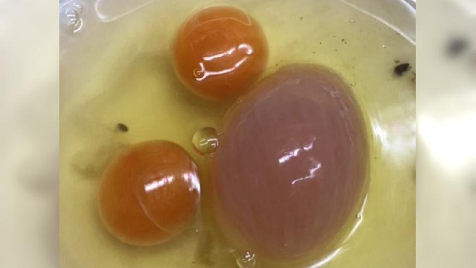 網友打蛋驚見超稀有「1大2小」3顆蛋黃。（圖／Dcard網友授權提供）