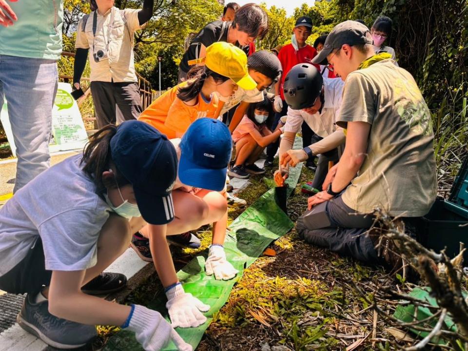 （新北市高灘地工程管理處提供）