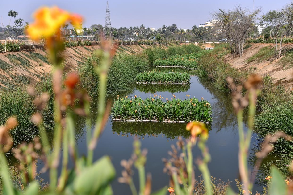 This photograph taken on January 29, 2024 shows a restored canal adjacent to the arid Doddathogur lake in Bengaluru. In the rush to modernise, the Bengaluru city dubbed as being India's Silicon Valley had forgotten the centuries-old structures it depended upon to survive, with the number of lakes shrinking by more than three-quarters. (Photo by Idrees MOHAMMED / AFP) / To go with 'INDIA-ENVIRONMENT-POLLUTION-WATER' FOCUS by Aishwarya KUMAR (Photo by IDREES MOHAMMED/AFP via Getty Images)