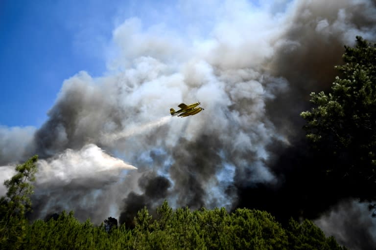 This year's forest fires have been the deadliest that Portugal has endured