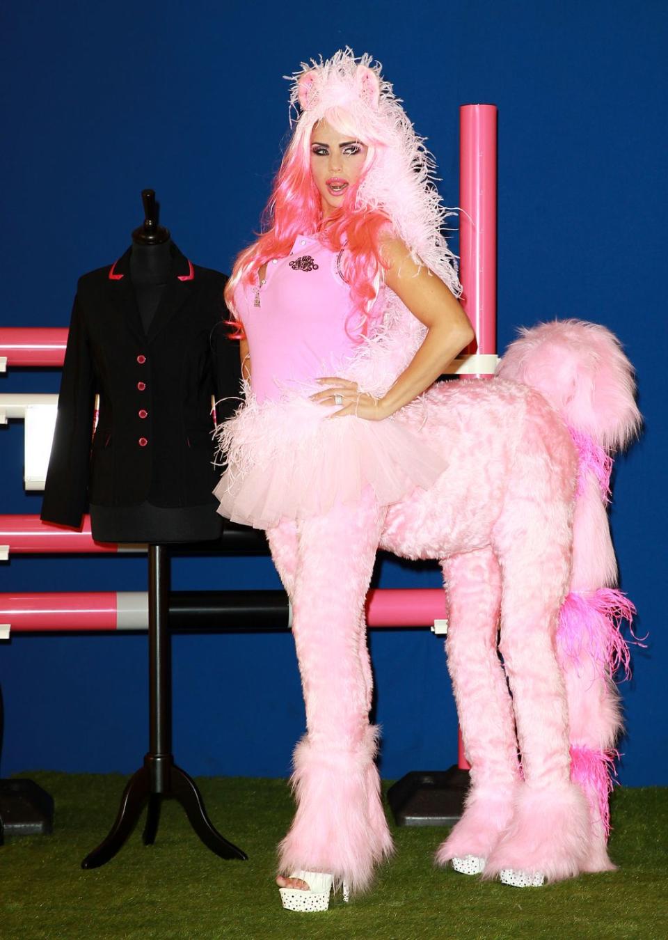 Katie Price in March 2013