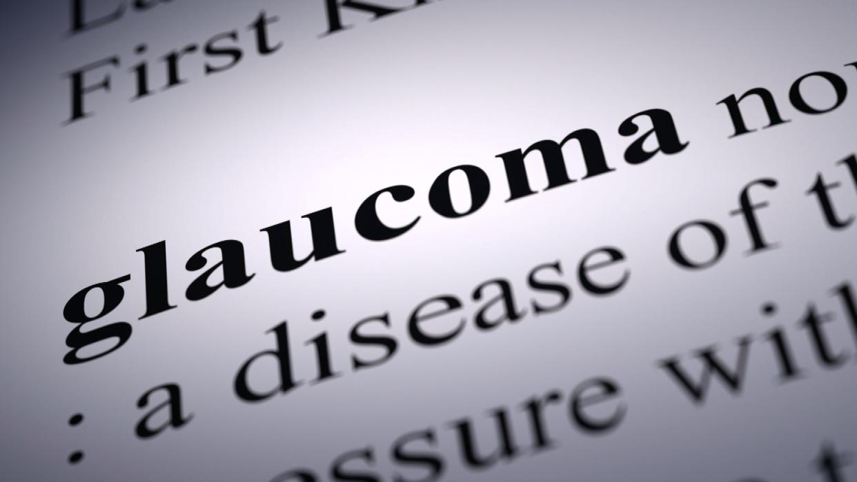 Glaucoma is a group of eye diseases that can damage the optic nerve and cause vision loss and blindness if it’s not treated.