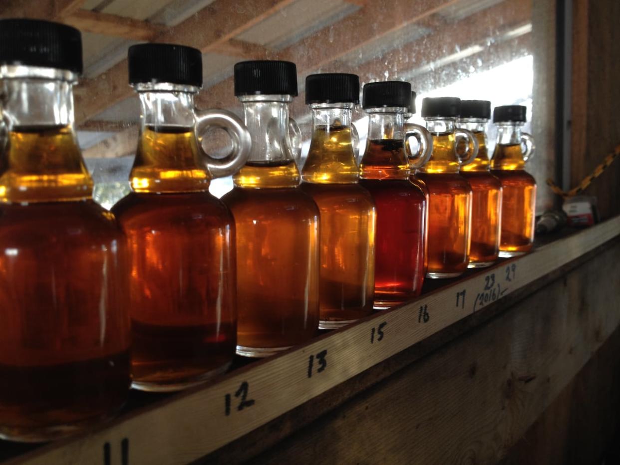 Warm weather has led to an early start of maple syrup production across the province.  (Hallie Cotnam/CBC - image credit)