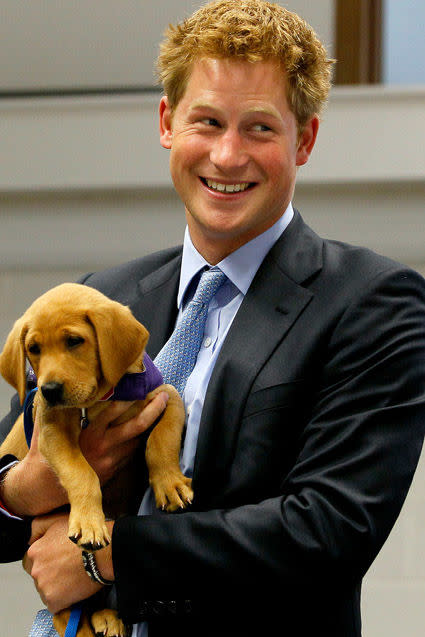 That time we couldn’t decide which was cuter, this puppy or the prince's reaction to this puppy.