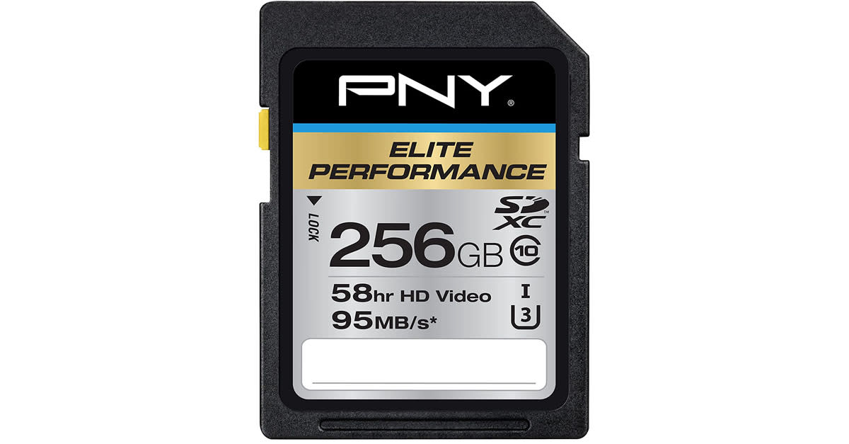 PNY 256GB Elite Performance Class Flash Memory Card (256GB) (Photo: Amazon)