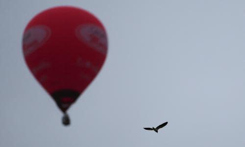 A hot air balloon