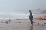 <p>A man stands on the beach in Luquillo, Puerto Rico. The public power company director has warned that citizens could be without electricity for four to six months. (Reuters) </p>