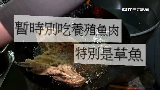 網瘋傳吃淡水魚會得武漢肺炎，醫生闢謠傳言。