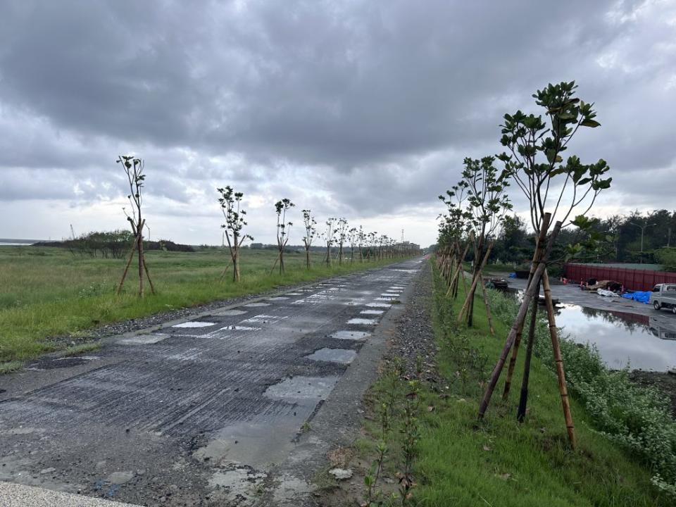 經濟部水利署第六河川局進行南區鯤鯓海堤環境營造工程，希望完工後更完善生態綠堤防，並帶動整體觀光效益。（記者陳銀全攝）