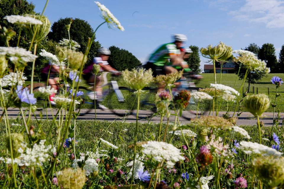 Riders head east on Licking County Road 539 towards Granville during Pelotonia 2017.