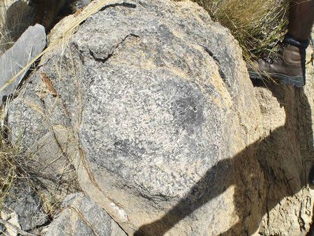 Reefs built by Cloudina 548 million years ago are pictured in the Nama Group in Namibia in this undated handout photo obtained by Reuters on June 26, 2014. REUTERS/Fred Bowyer/Handout via Reuters